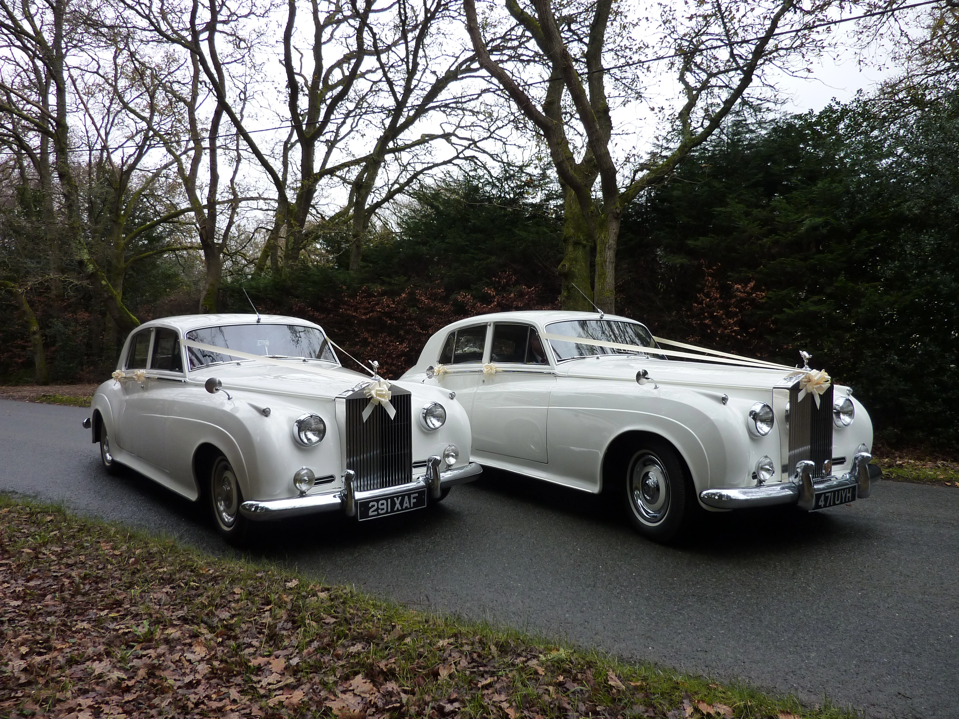 Two white cars in the countryside