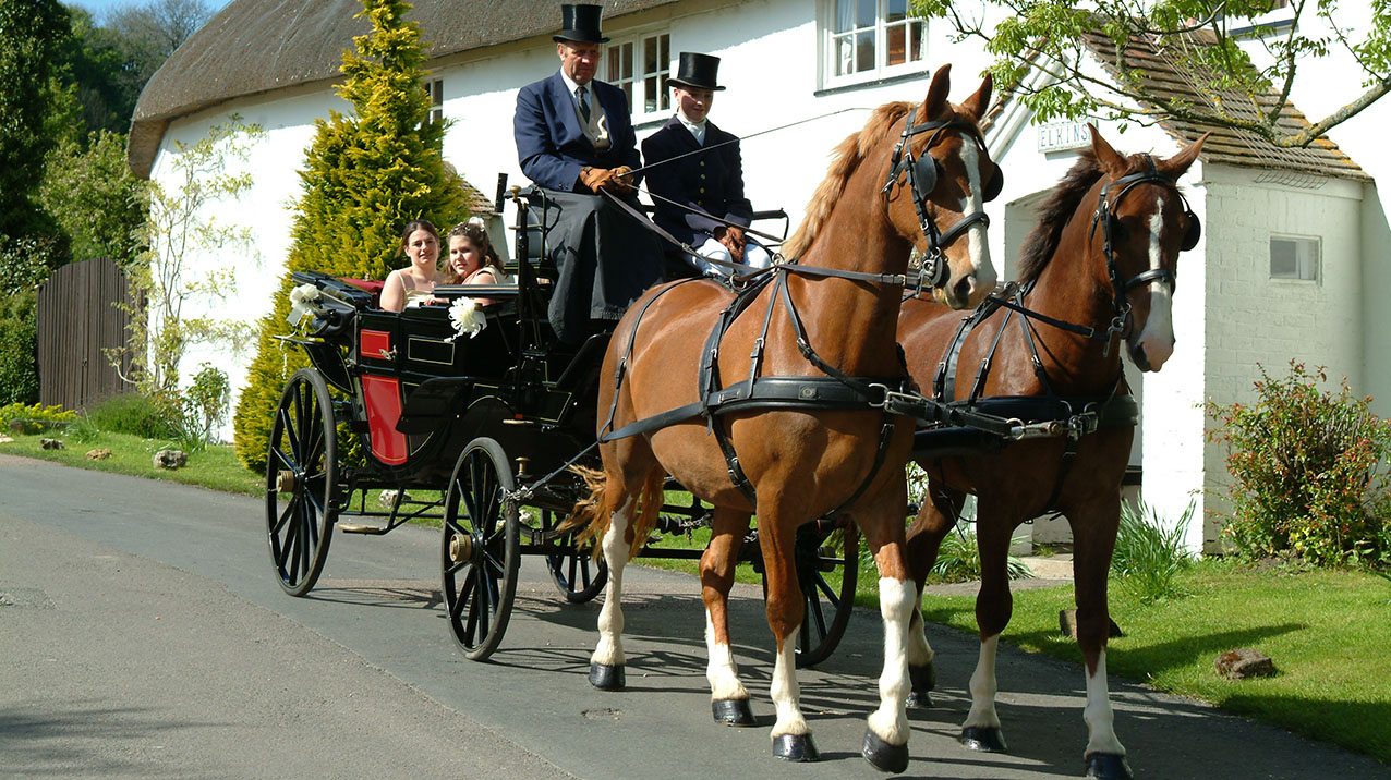 Horses and Glass Landau Coach
