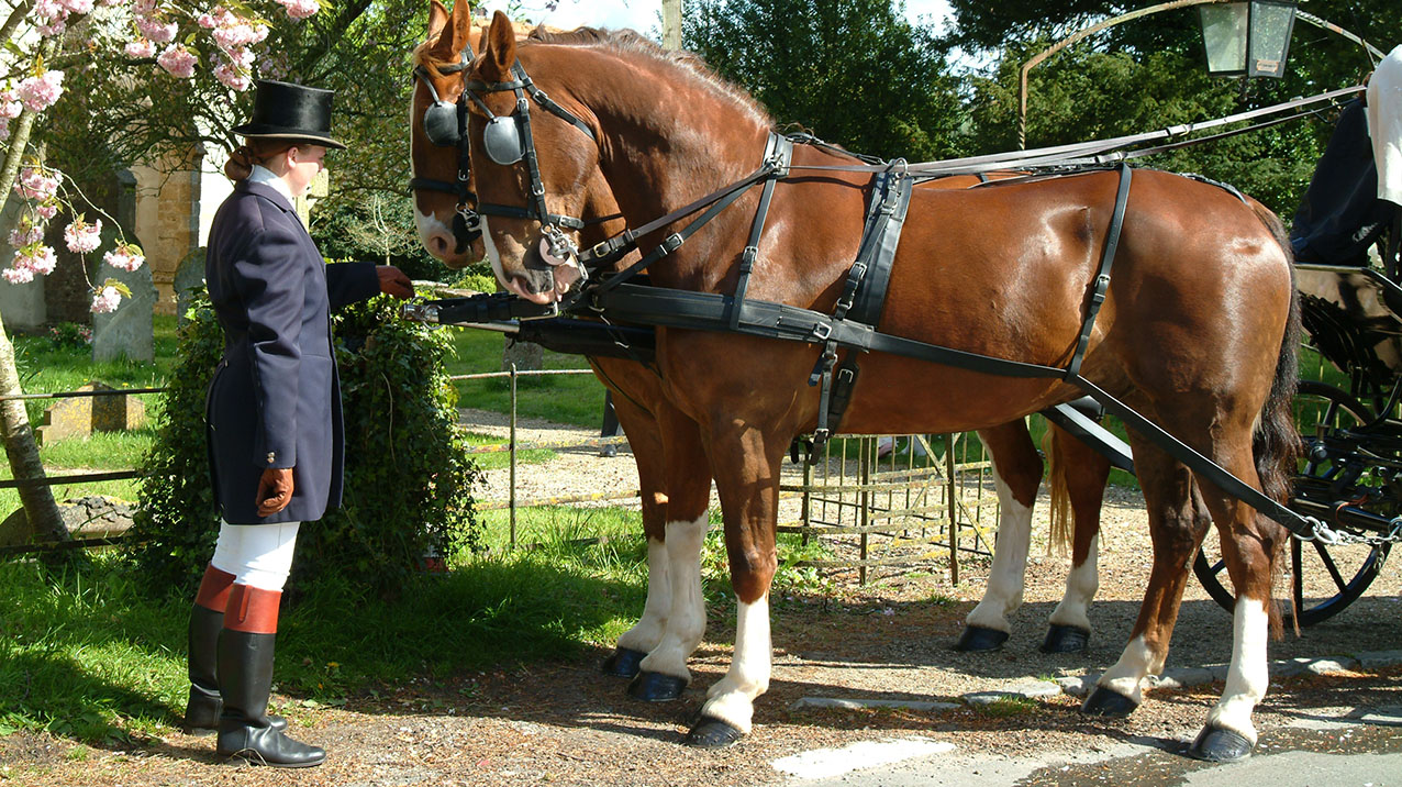 Horses and Glass Landau Coach