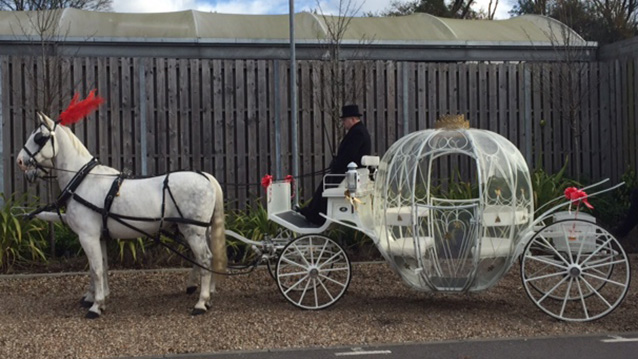 Horse Drawn Cinderella Glass Carriage