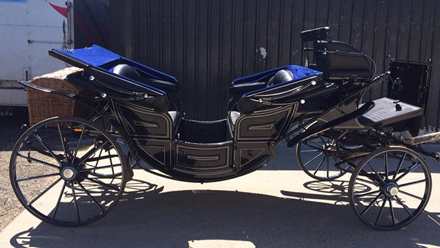Horse Drawn Carriage Selection
