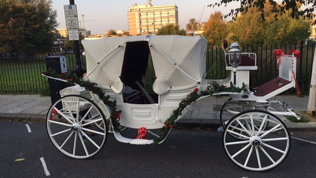 Horse Drawn Carriage Selection