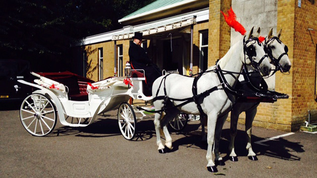Horse Drawn Carriage Selection