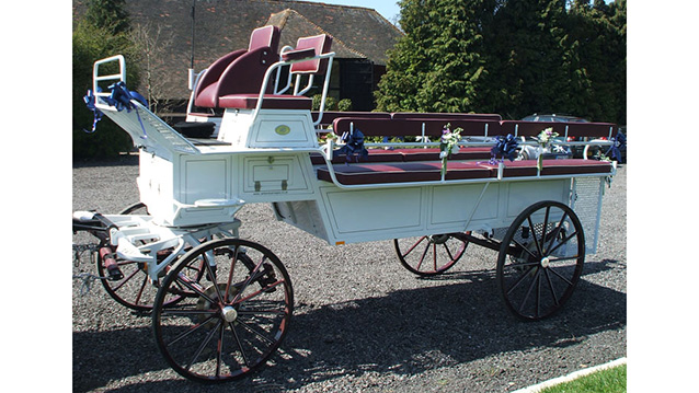 Horse Drawn Carriage Selection