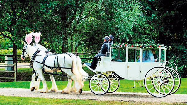 Wedding carriages deals