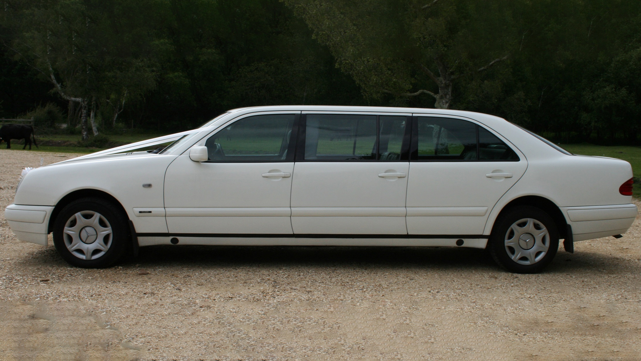 Mercedes 'S' Class Limousine