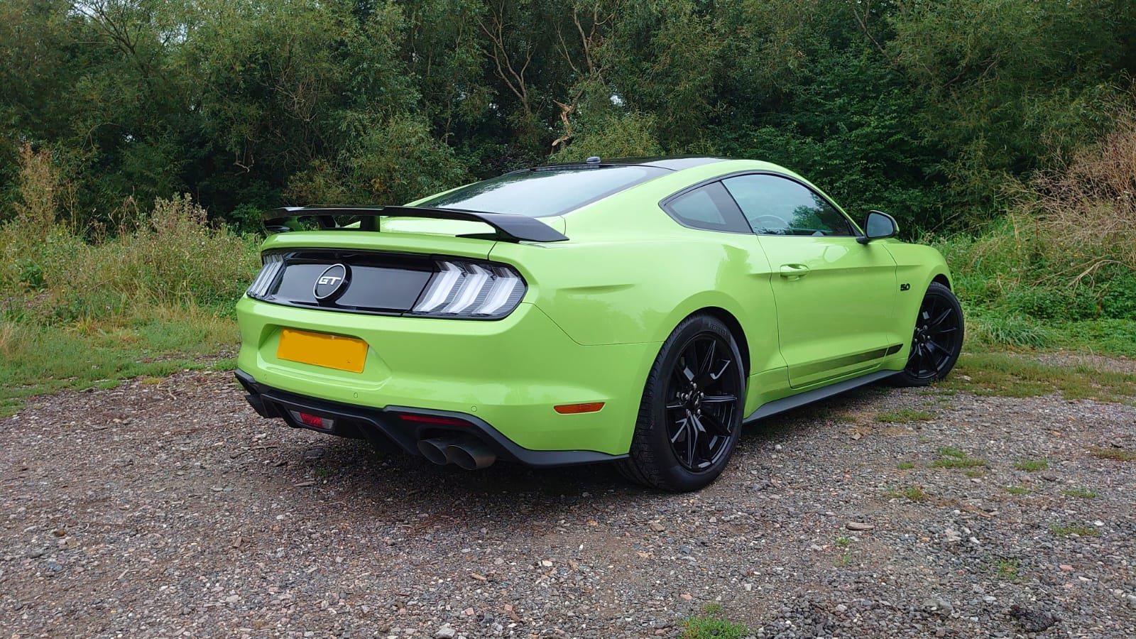 Ford Mustang 5.0L GT