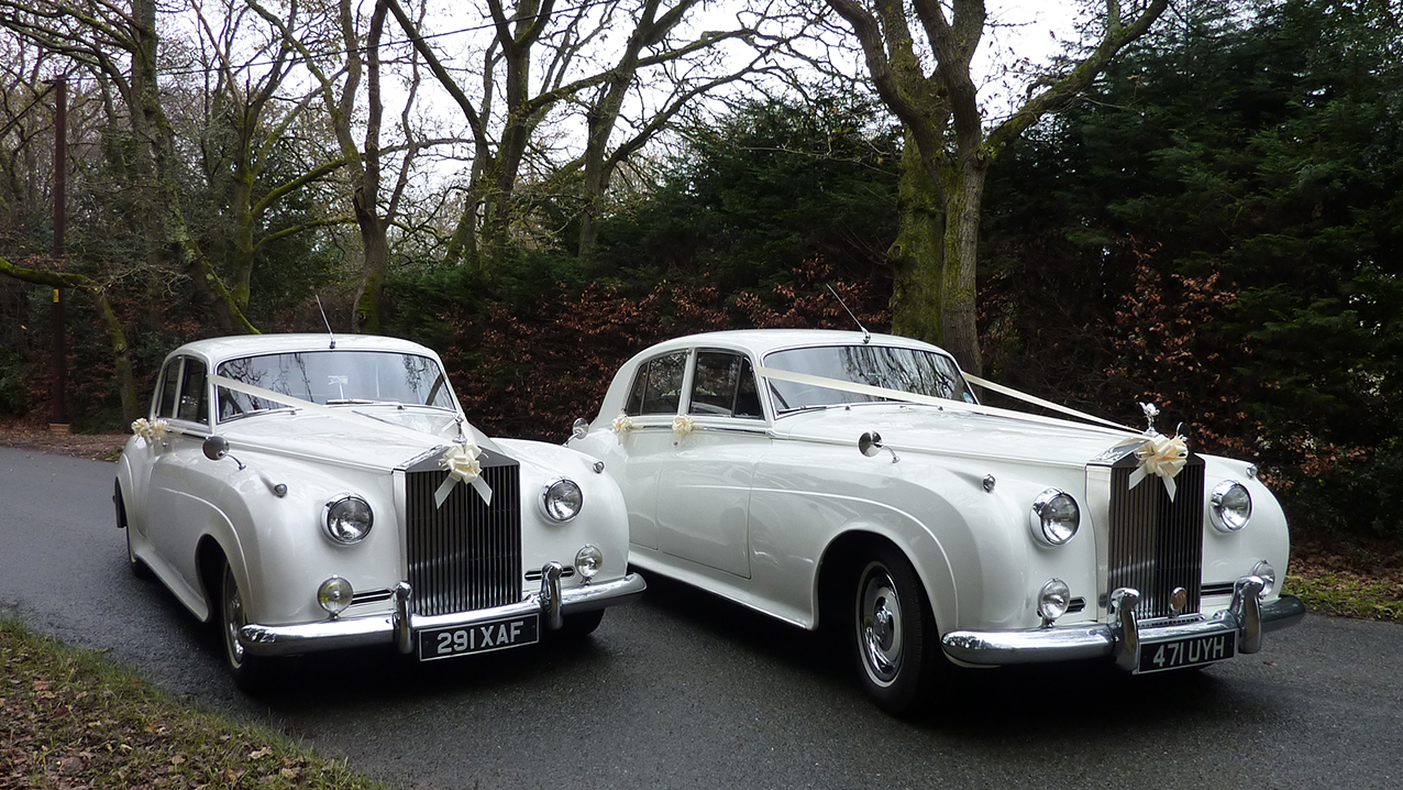 Two White Classic Rolls-Royce Wedding Car with an autumn background 