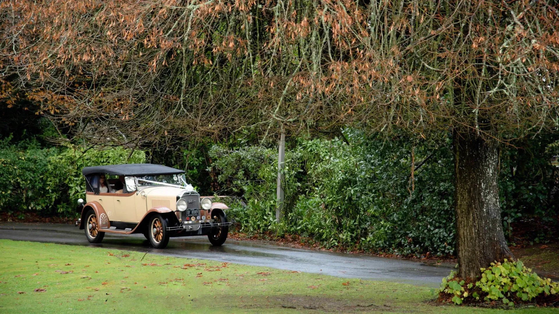 Vintage Buick in Cream entering wedding venue. Dressed with white Ribbons