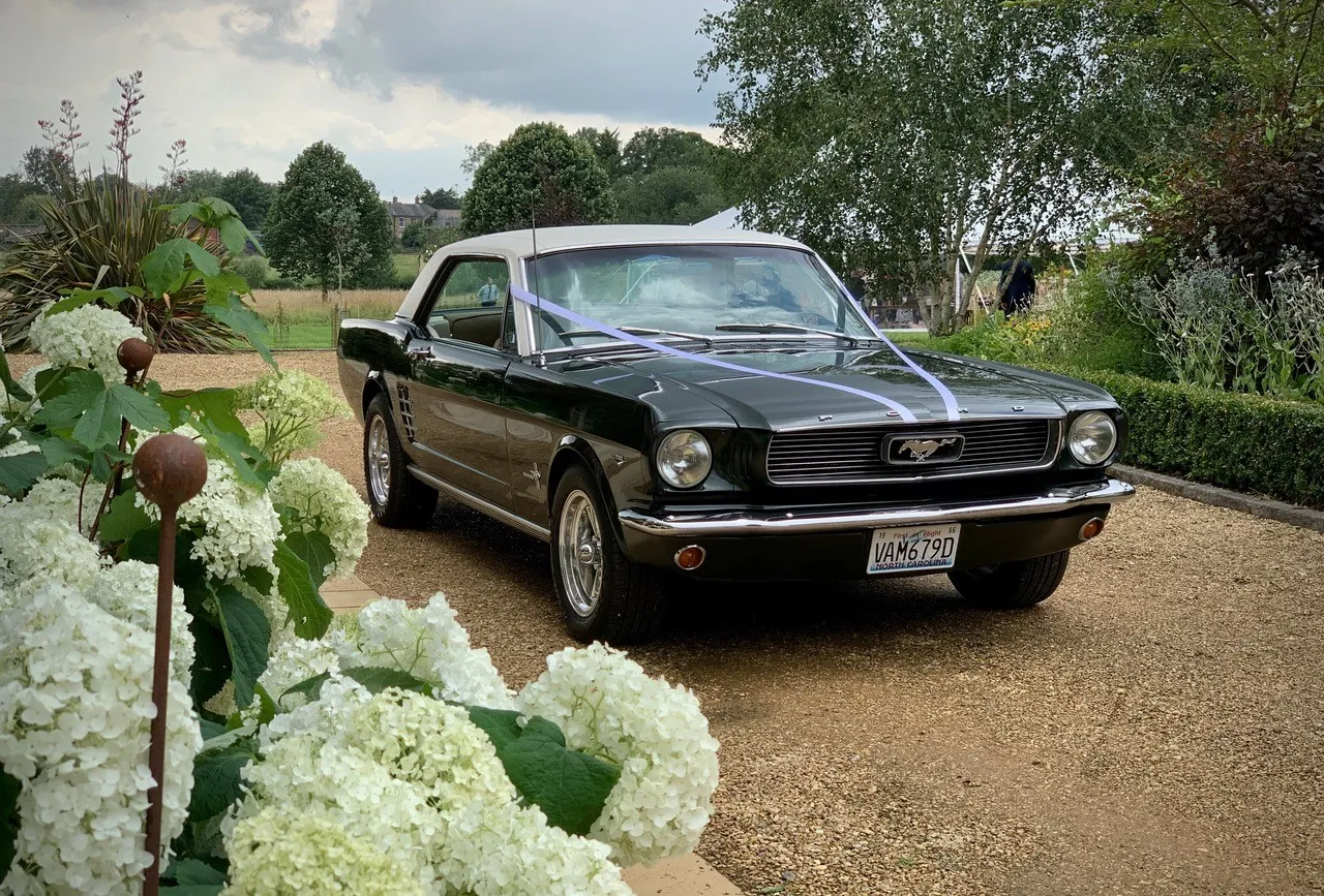 Dark Green Ford Mustang Coupe with White Roof
