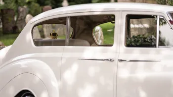 Austin Princess in Ivory