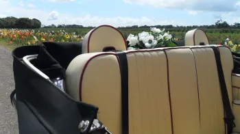 rear seating area showing the cream leather seat and seat belts with roof down