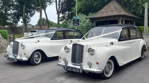 Two Classic Asutin standing next to each others decorated with ribbons