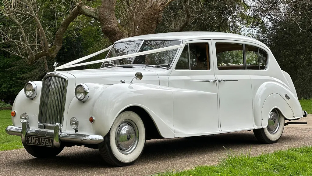 Front Left side view of classic Austin Princess Limousine decorated with white ribbons in a park with green tree in the background