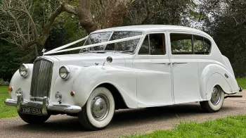 Front Left side view of classic Austin Princess Limousine decorated with white ribbons in a park with green tree in the background