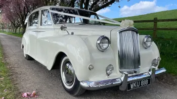 Front view of Classic Austin Princess Limousine dressed with white ribbons in a gravel path with green field in the background