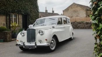 Front view of Classic Autin Princess with White ribbon and bow at the front