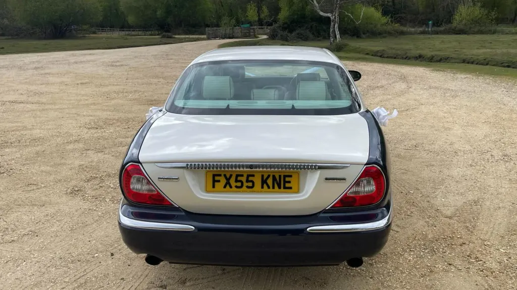 Rear view of Daimler Super showing the white top roof. Forest Background