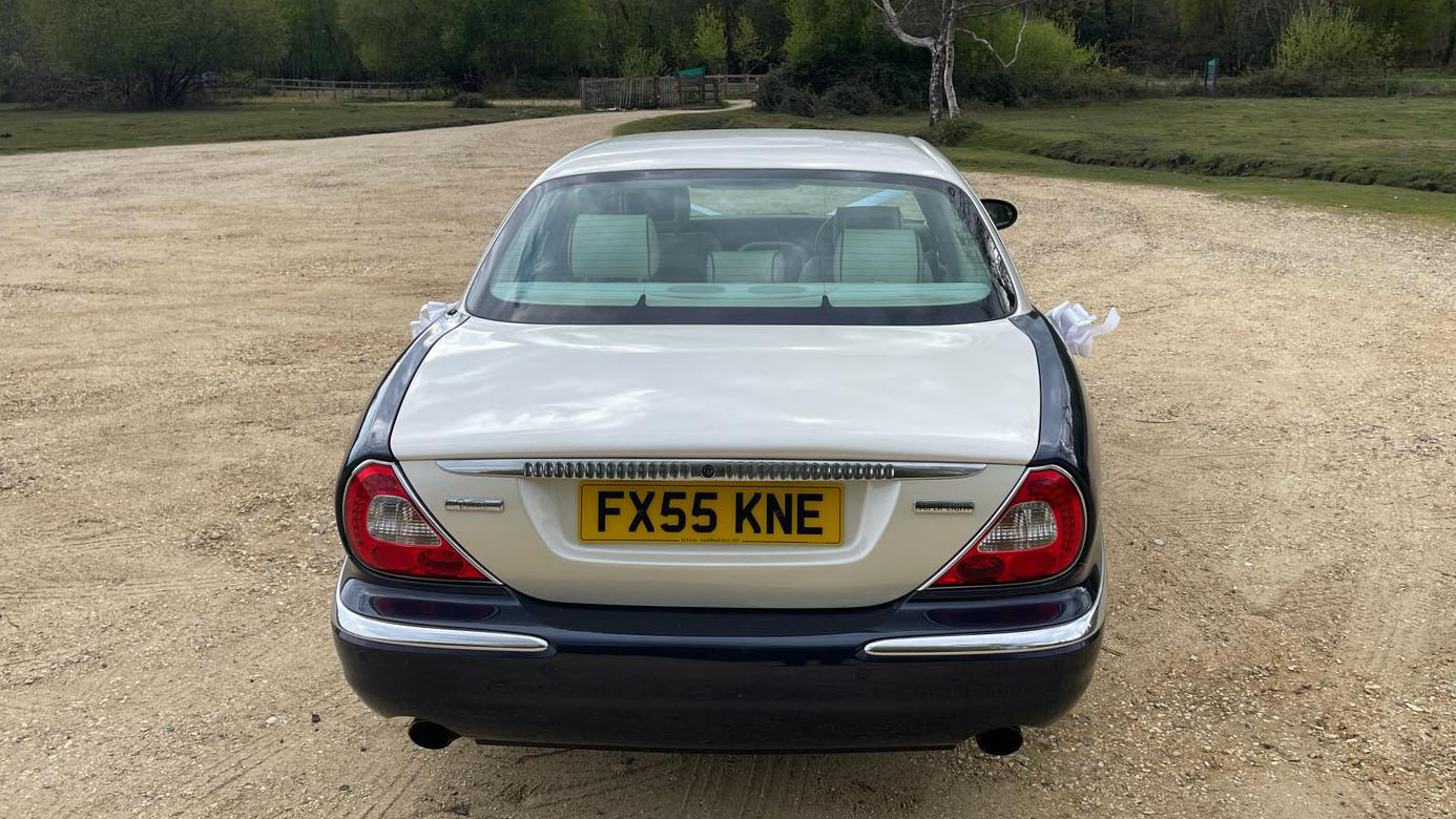 Rear view of Daimler Super showing the white top roof. Forest Background
