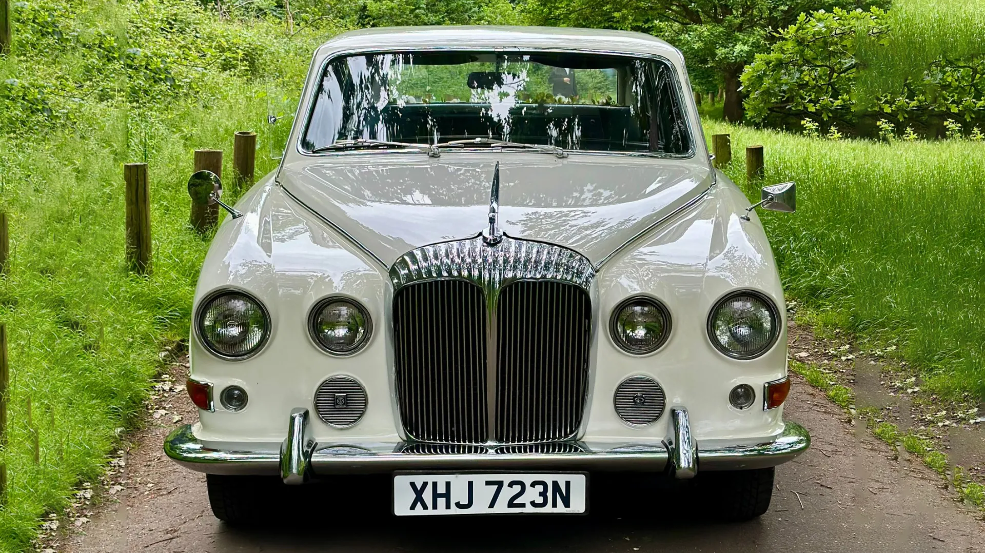 Front View of Daimler DS420 Limousine showing chrome grill and Daimler mascot