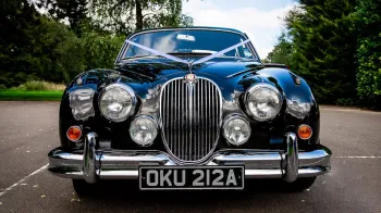 Fronr vioew of Black Jaguar iconic chrome grill with Ribbons