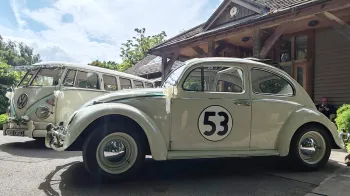 Left view of "Herbie" the classic beetle with number 53 on its door. VW campervan parked in the background