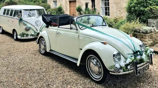 Classic VW Beetle with convertible roof open followed by a Classic VW Campervan. Both are decorated wioth matching white ribbons and green foliage on their front bumpers.