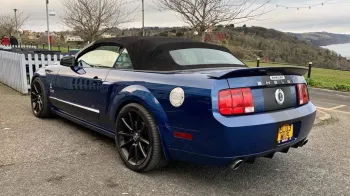 Rear view of Modern Ford Mustang Shelby with black soft top roof closed.