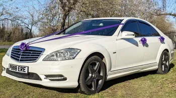 Left front view of white Mercedes S-class with purple ribbons and bows