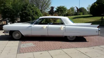Left side view of White American Cadillac Fleetwood decorated with white ribbons and bows