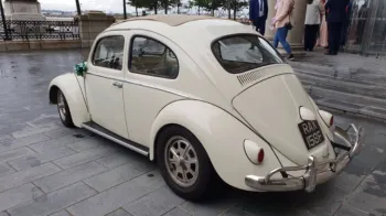 Rear view of Ivory Classic Volkswagen Beetle with view of the Webasto sunroof.