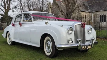 White Classic Bentley is white wall tires and dressed with Burgundy ribbons and bows