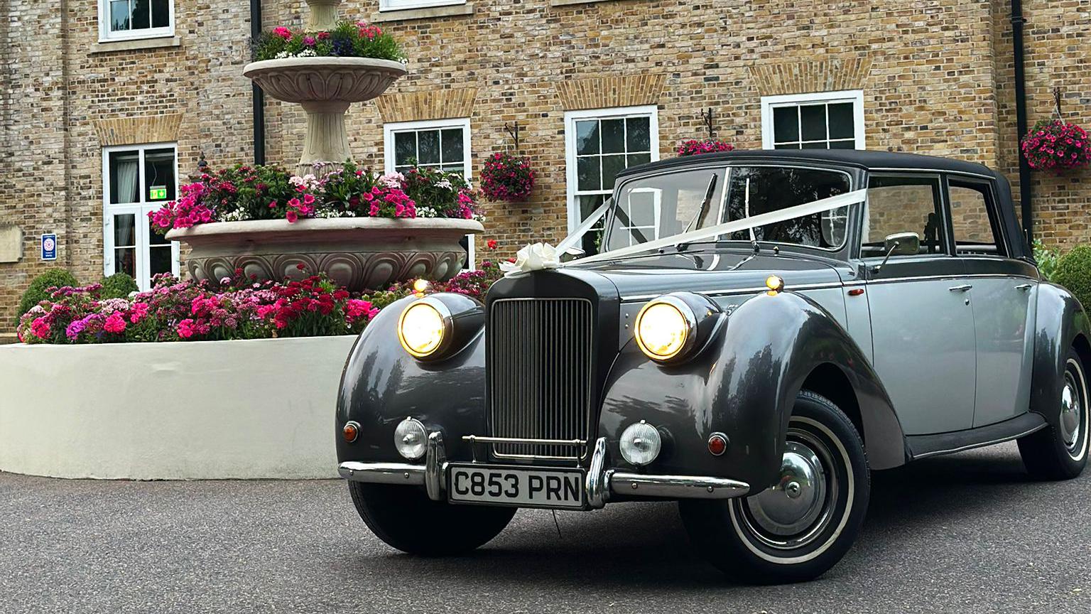 Front left view of vintage silver Royale Windsor with white ribbons at dusk with front headlights on