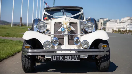 vintage Beauford