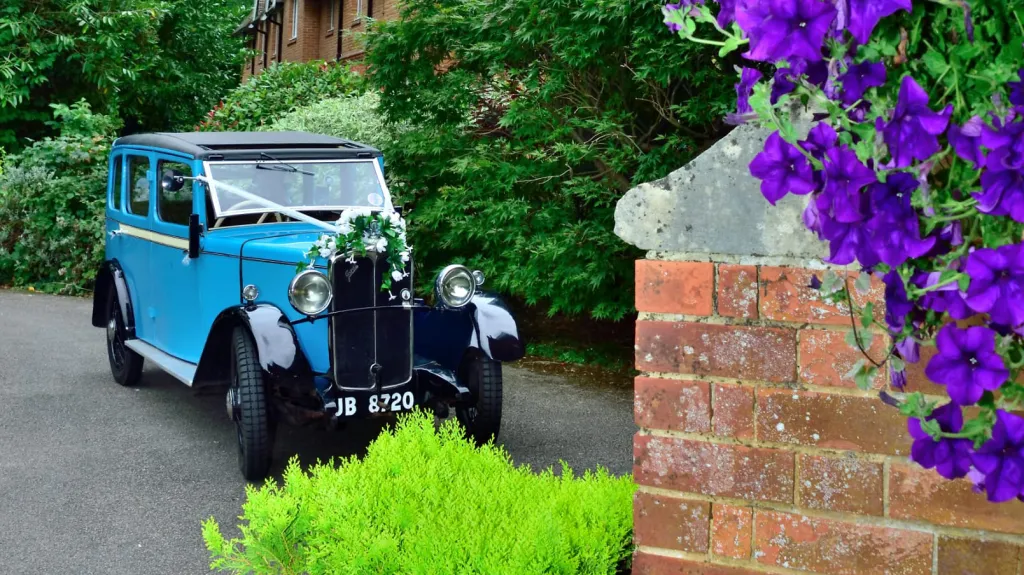 David, thank you so much! You were amazing!!