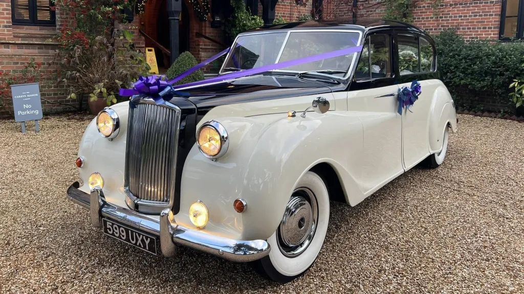 Austin Princess Limousine with purple ribbons and bows on top of the front chrome grill with bows on the door handles. Headlights are switched on.