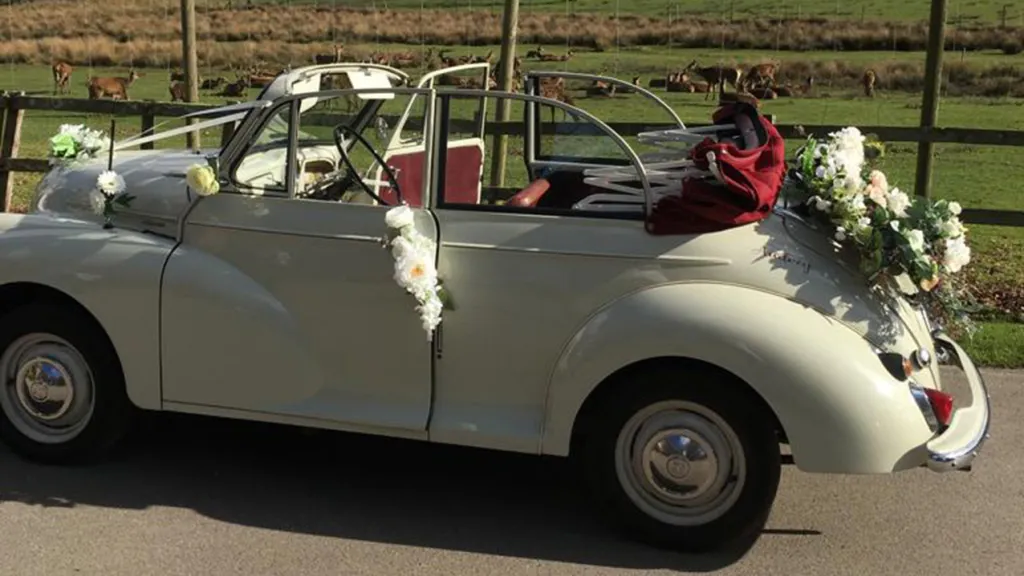 Classic Morris Minor Convertible left side view with roof open decorated with alrge flower arrangement and wedding ribbons