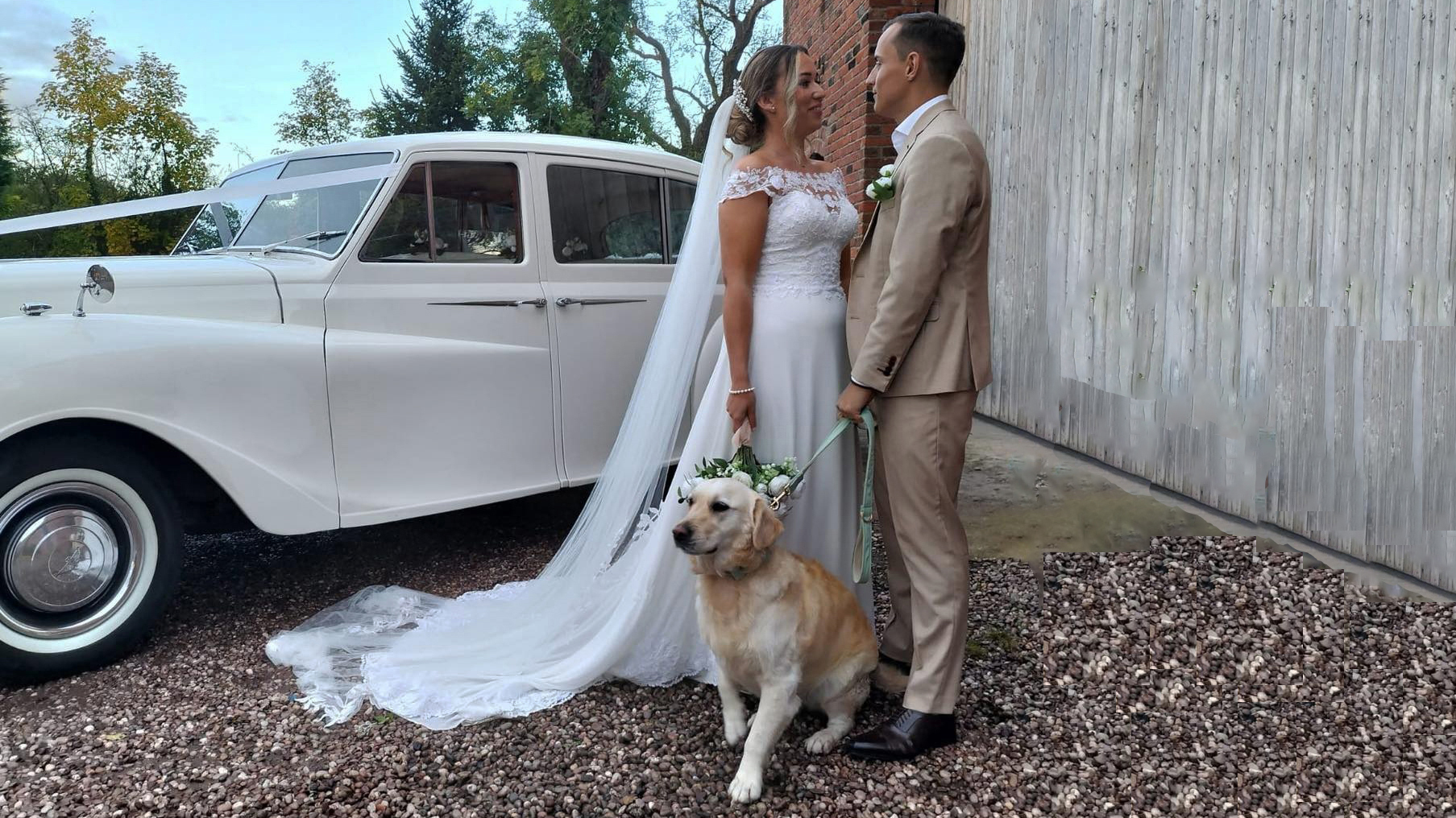 Bride and groom standing with their Labrador dog in front of a classic white wedding car, with the bride in a lace wedding gown and the groom in a beige suit.