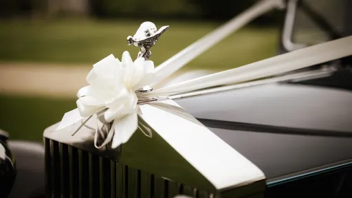 Close-up of a white wedding bow tied to the Rolls-Royce Spirit of Ecstasy bonnet ornament, on a polished silver bonnet.