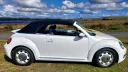 Right side view of a white Volkswagen Beetle convertible with contrasting black roof, parked beside a country road with open fields in the background.