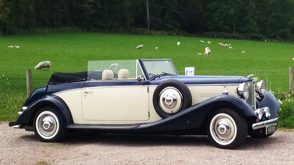 Mark was absolutely amazing! Thank you so much for making our day so special!