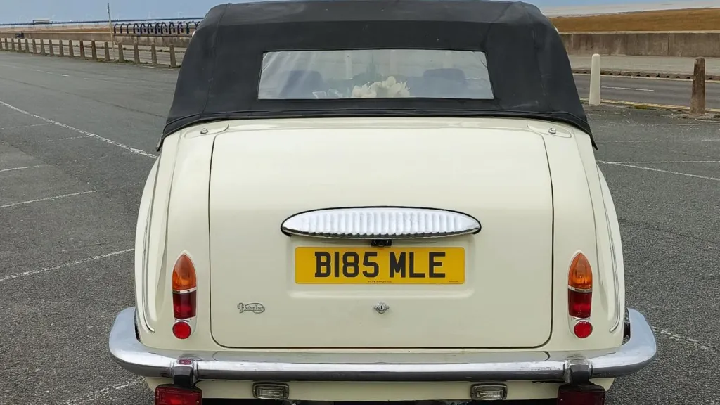Rear view of an ivory Daimler limousine showing its distinctive black semi-convertible roof and chrome detailing.