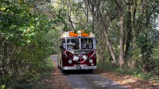 Burgundy and cream vintage bus captured front-on while driving along a narrow forest road with dense trees on both sides.