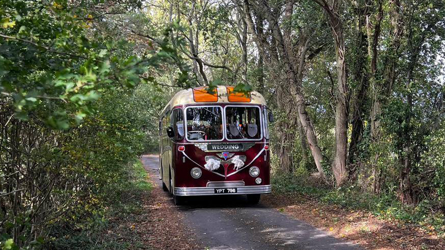 Burgundy and cream vintage bus captured front-on while driving along a narrow forest road with dense trees on both sides.