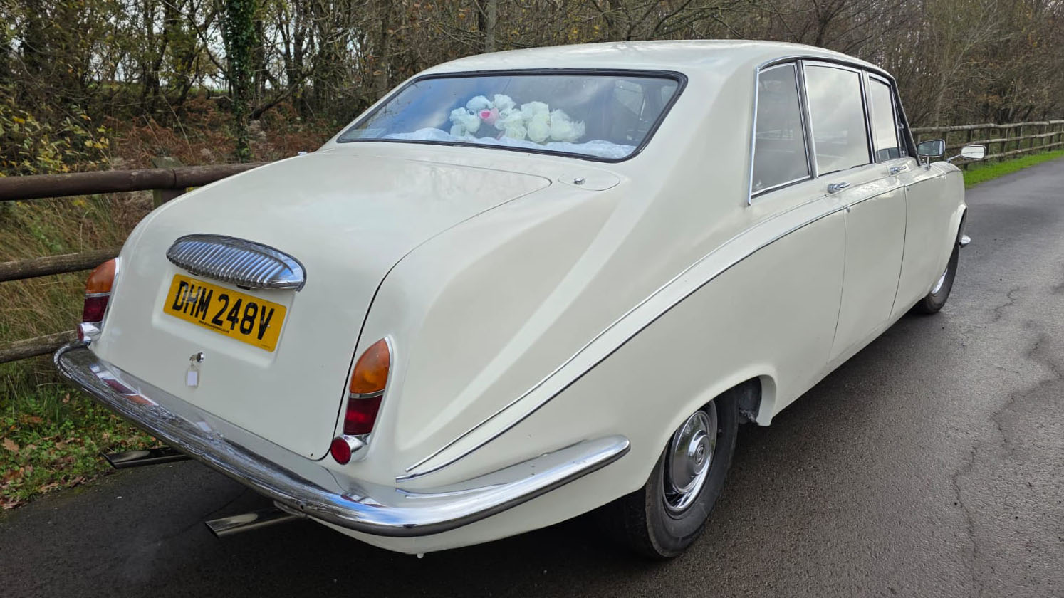 Rear view of a cream classic Daimler limousine parked on a rural road in Wales, showing chrome bumper and registration plate.