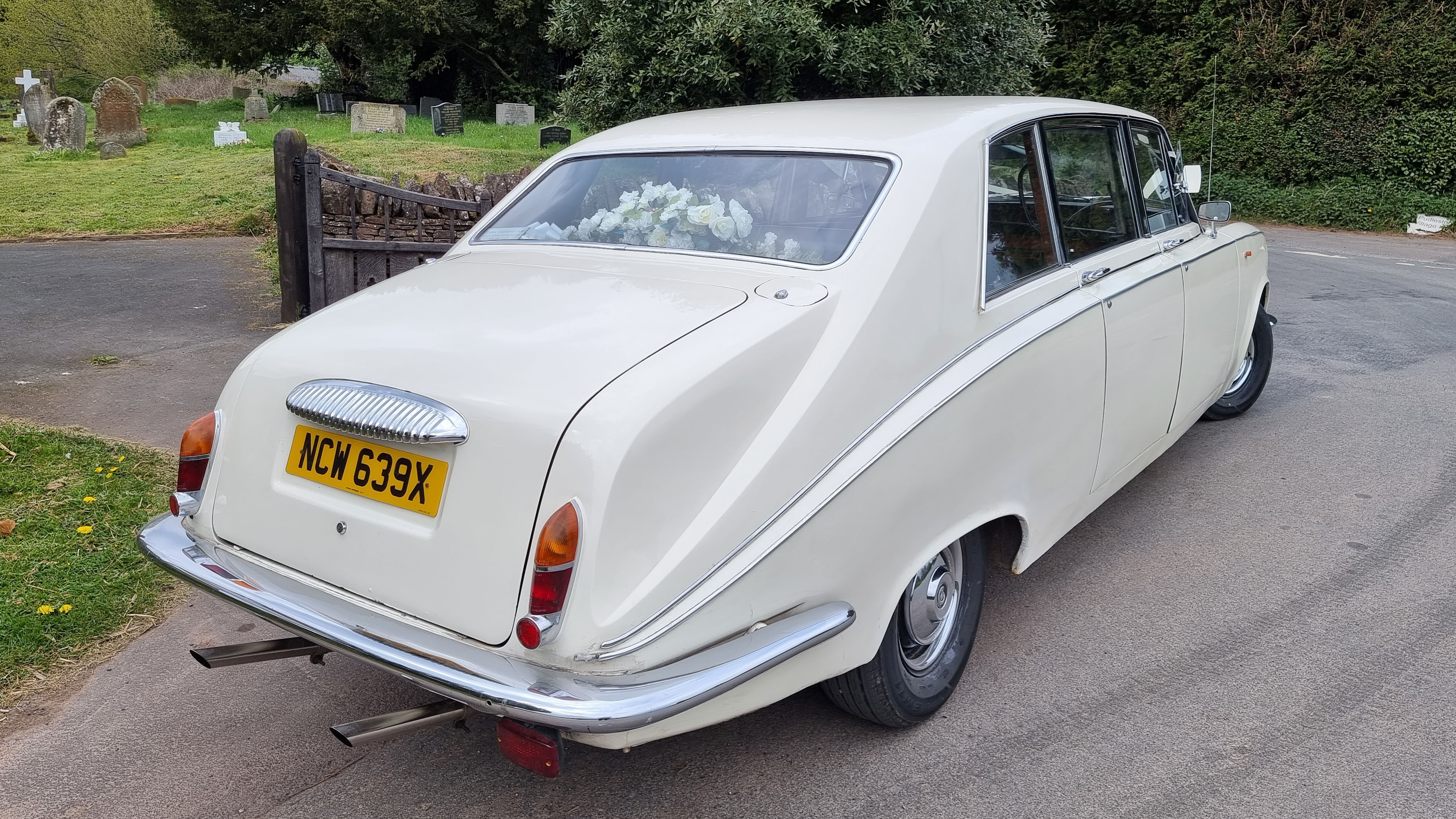 Rear view of a cream Daimler limousine parked on a roadside, showing chrome bumper and registration plate.