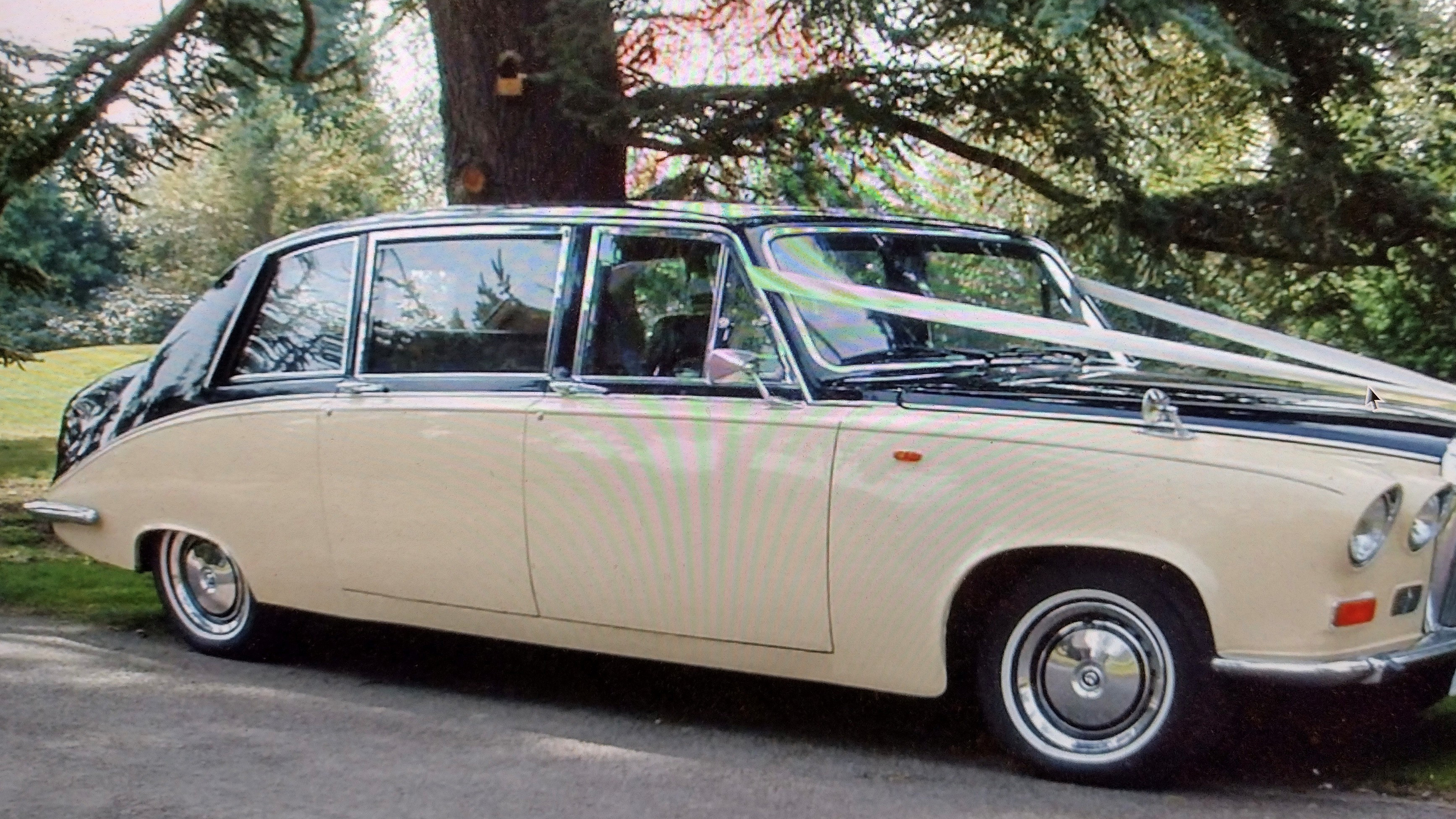 Black and ivory classic Daimler limousine photographed from the passenger side, positioned on a country drive with large trees behind.