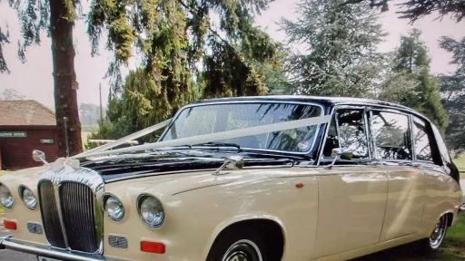 Front three quarter view of a black and ivory Daimler limousine parked under trees, chrome grille and twin headlights clearly visible.