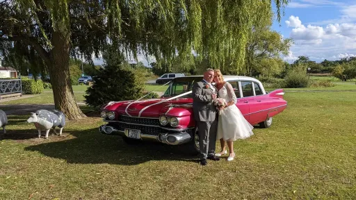 Bride and groom posing beside pink Cadillac Fleetwood limousine on grass lawn, white roof visible, countryside setting with trees.