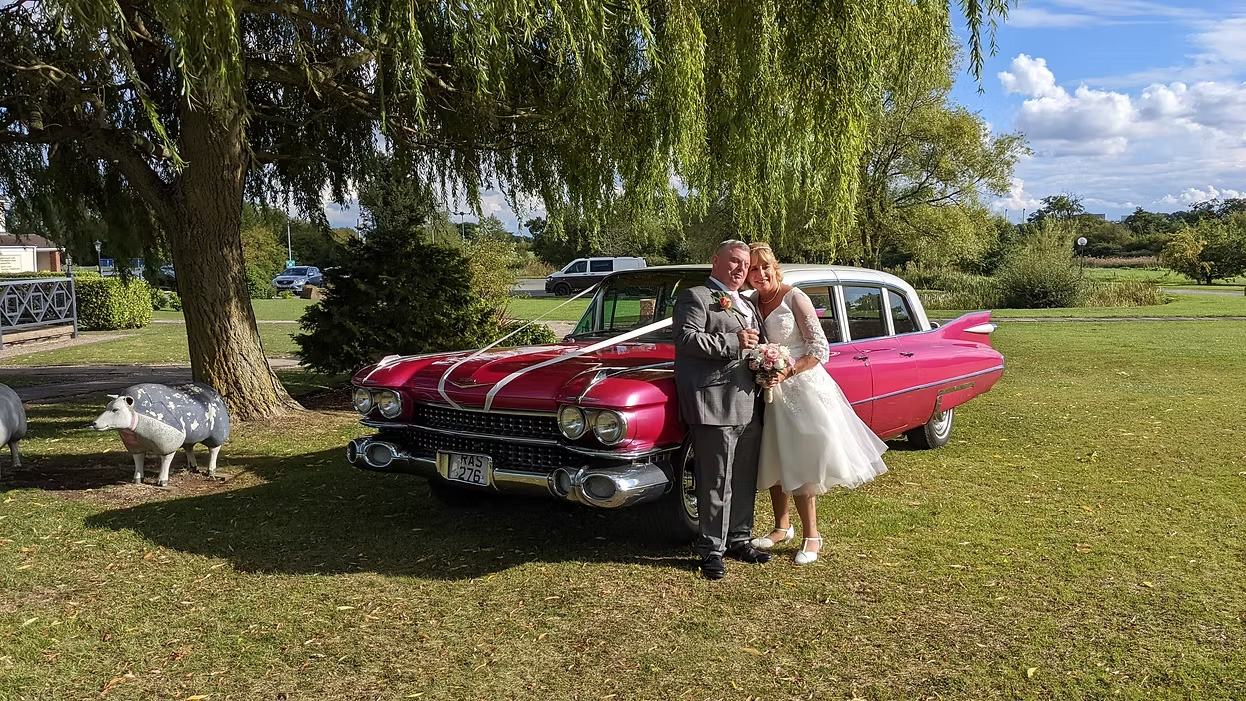 Bride and groom posing beside pink Cadillac Fleetwood limousine on grass lawn, white roof visible, countryside setting with trees.
